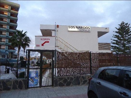 Los Nardos Playa del Ingles  Ngoại thất bức ảnh